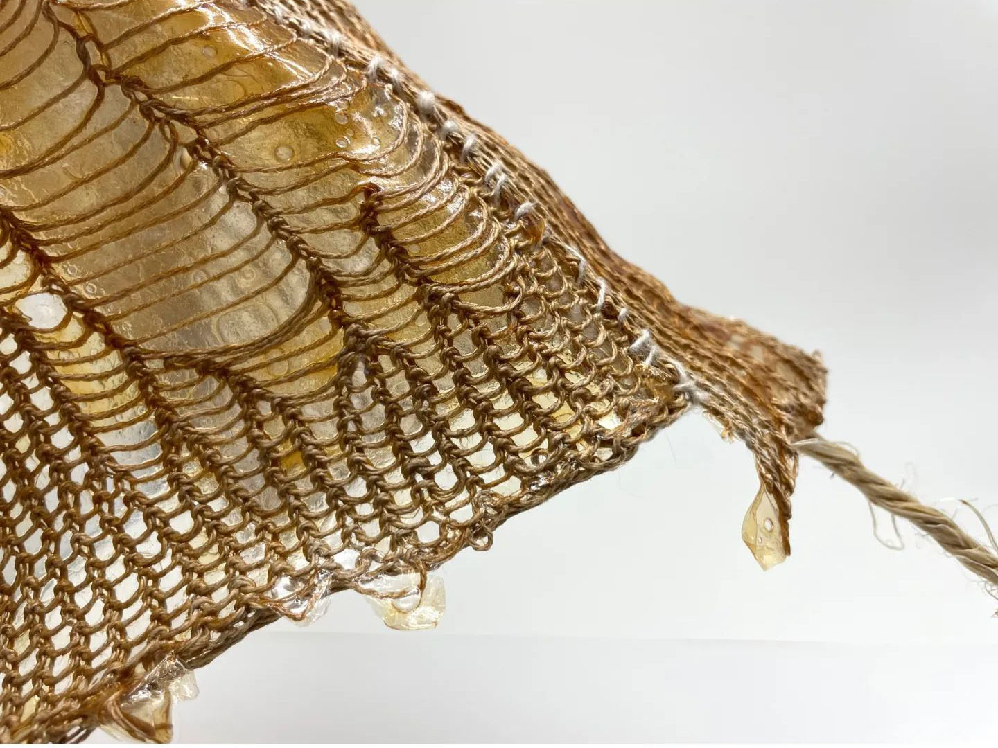 Brown macroalgae prototype, by Anna-Lena Mueller