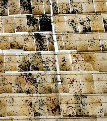 Plastic Shingles