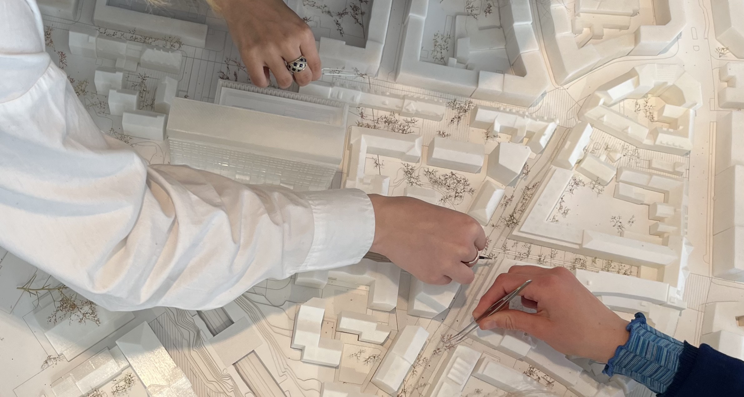 Model Builder