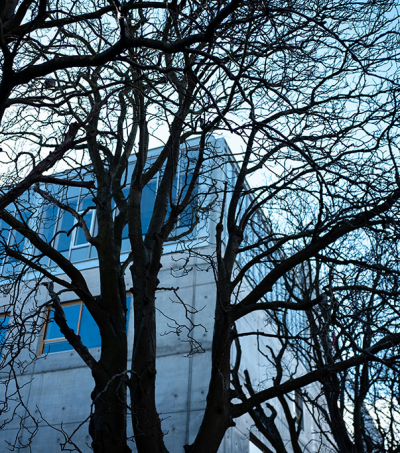 Exners Plads med træer