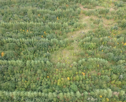 Aarhus Landskabslaboratorium