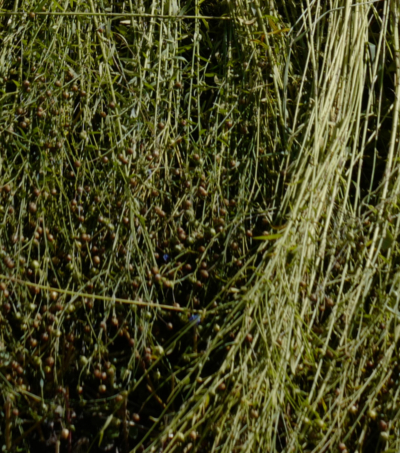 L1070571_lowres