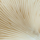 Regenerative Samtaler. Foto: Center for Regenerativt Byggeri