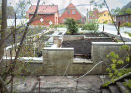 Landskabsprojekt i Snedsted