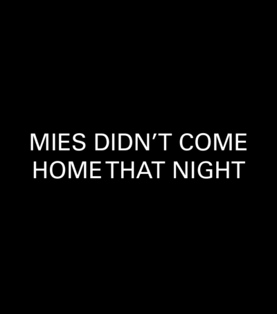 Mies Didnt Come Home That Night
