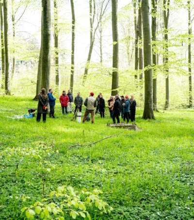 Perspektiv. Felttur til Hestehave Skov ved Kaløvig.