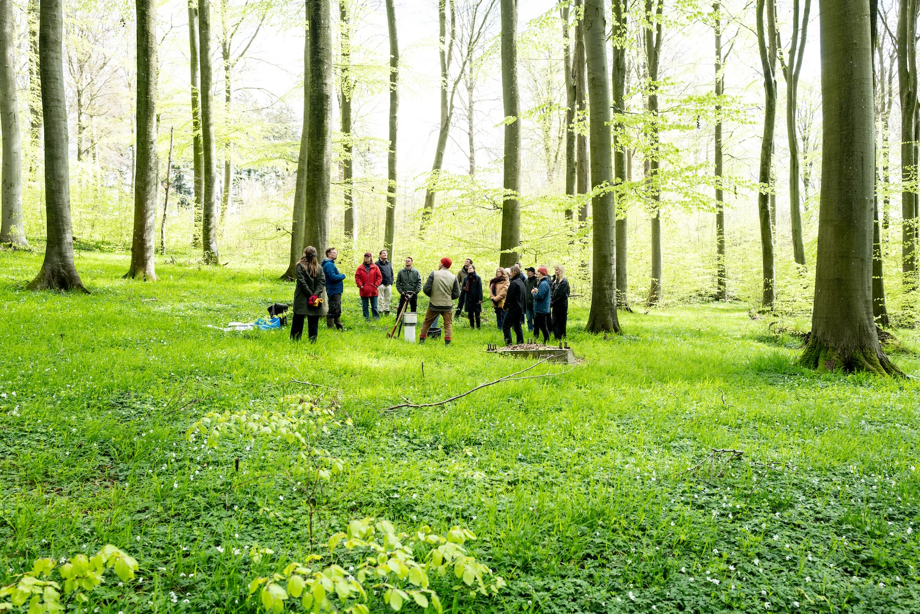 Perspektiv. Felttur til Hestehave Skov ved Kaløvig.