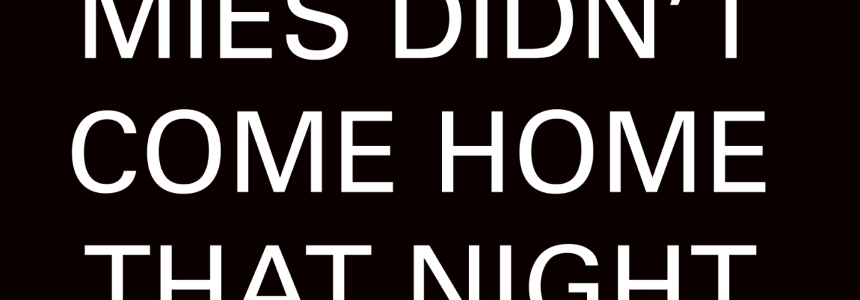 Mies didnt come home that night